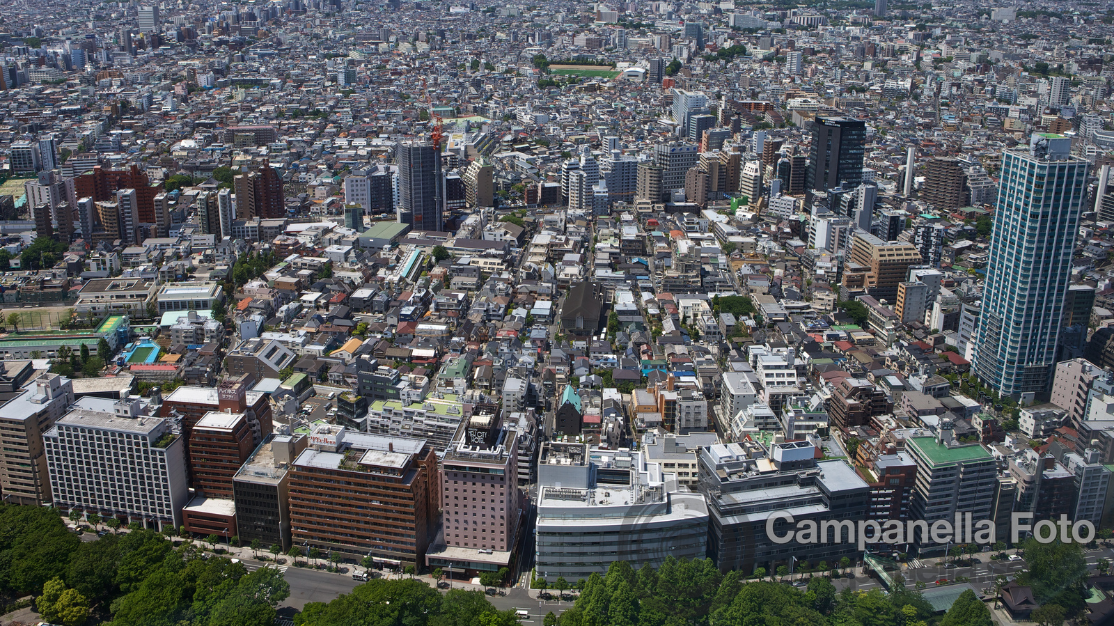 Tokyo from the Sky