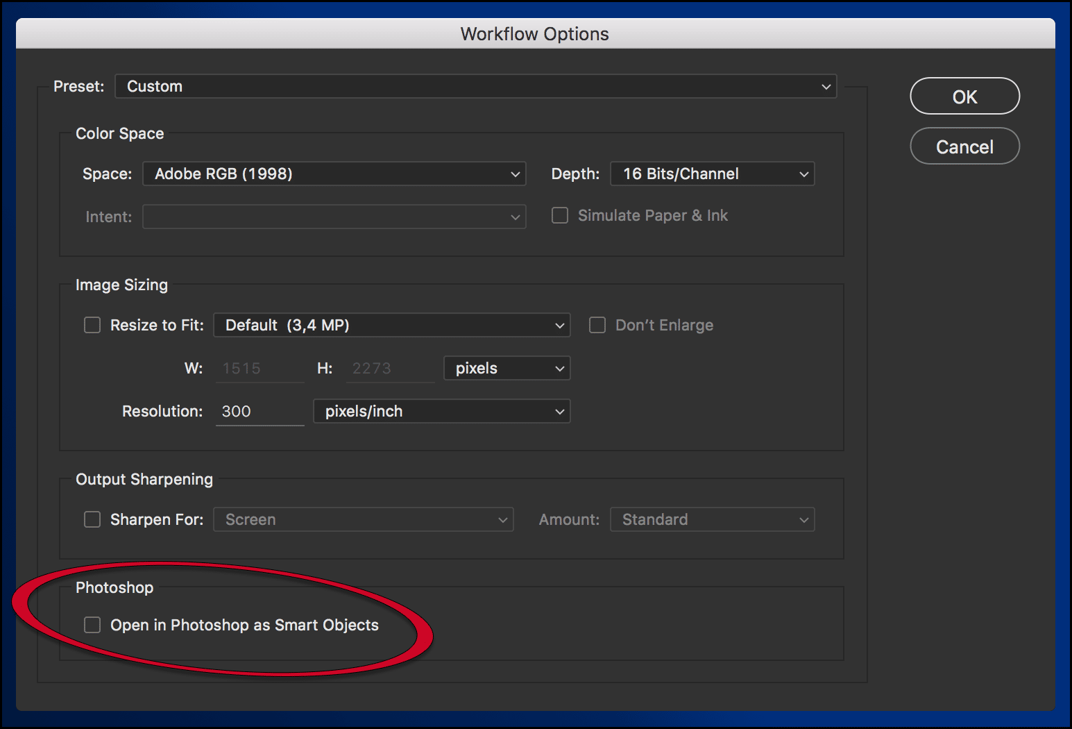 Camera RAW settings