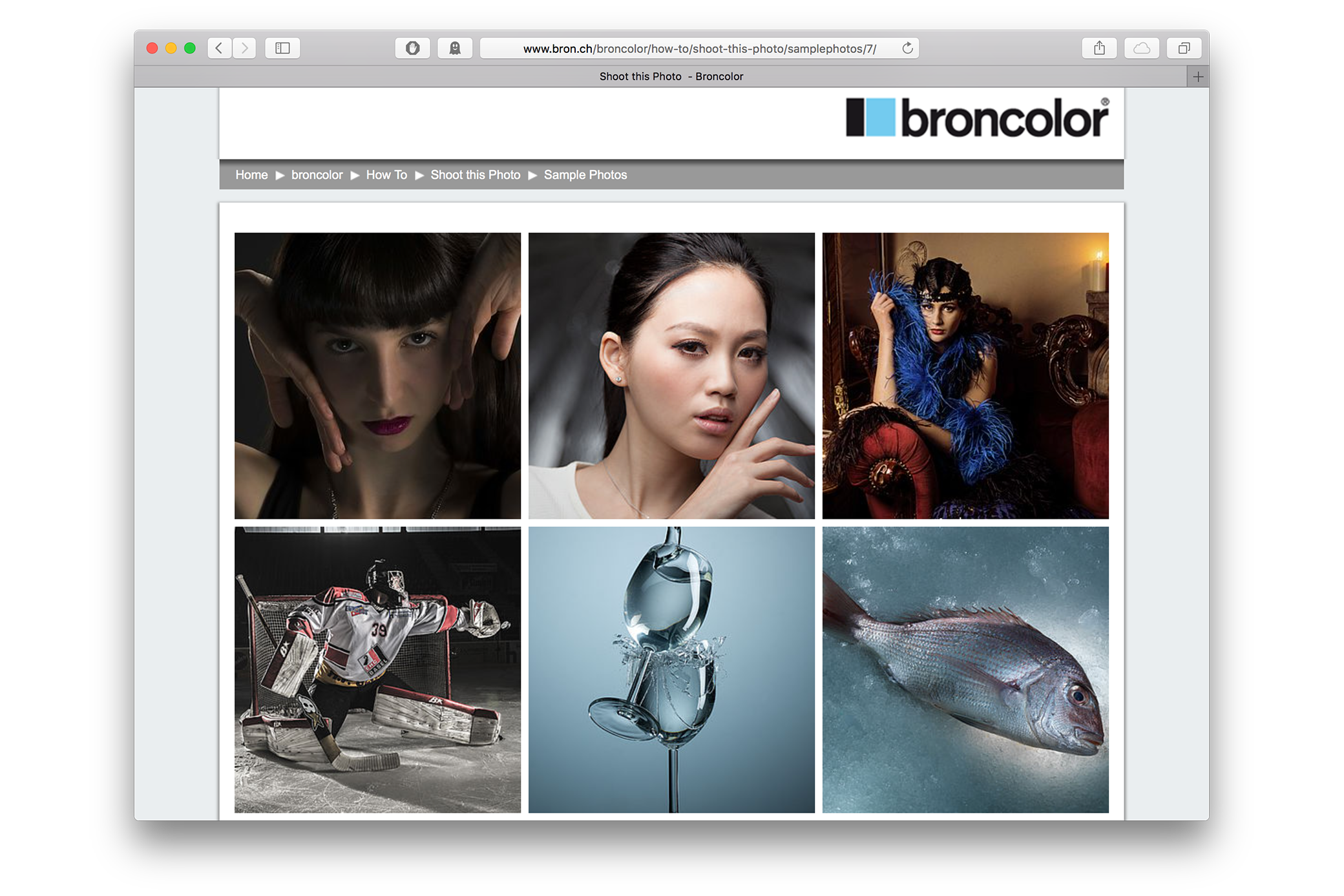 Excellent How To section on Broncolor's website