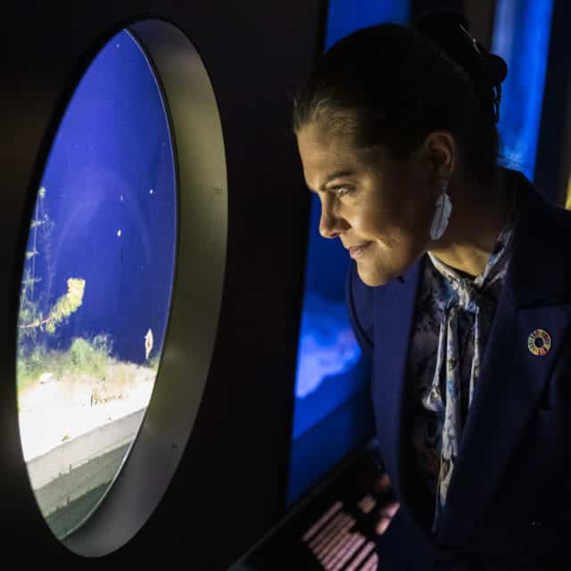 Crown Princess Victoria Of Sweden (News Photographer - Michael Campanella)